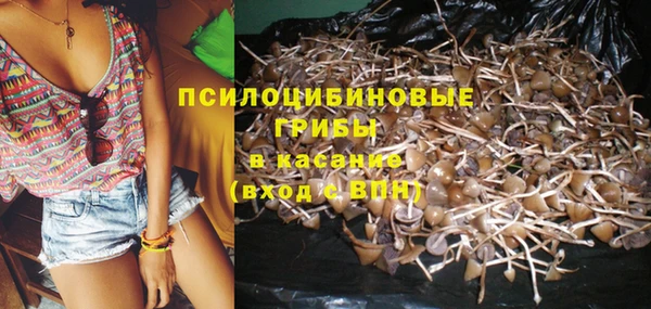 эйфоретик Лиски