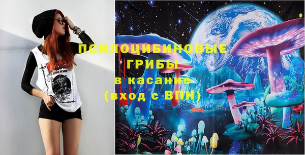 шишки Липки