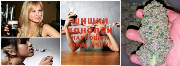 шишки Липки