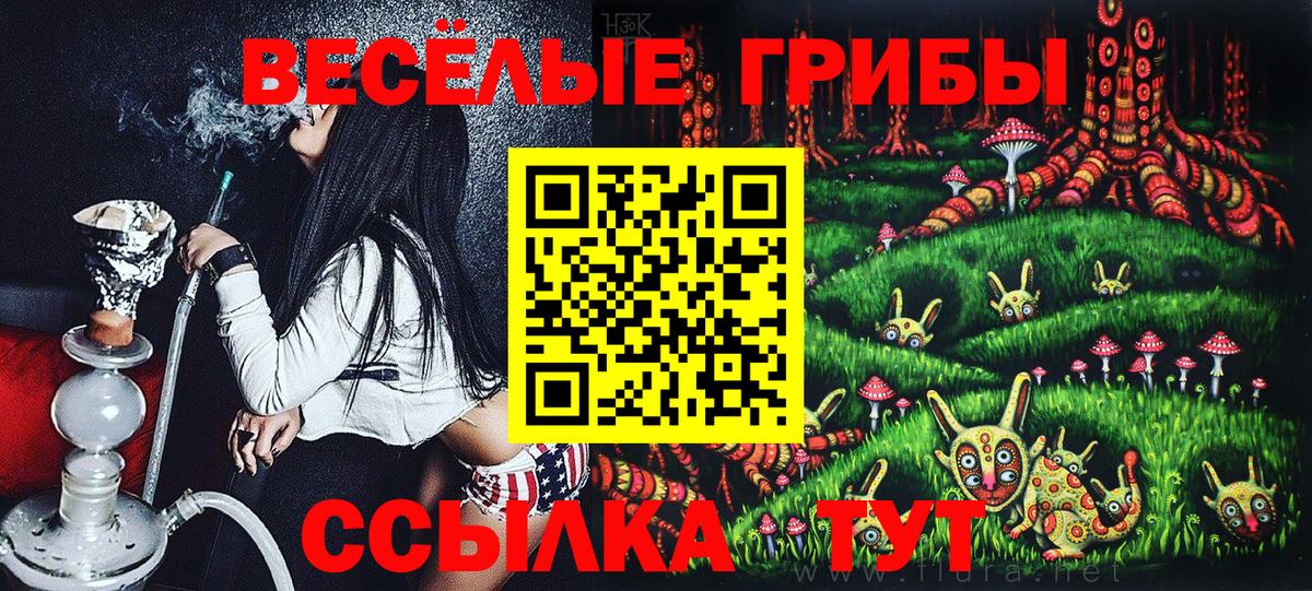 Псилоцибиновые грибы GOLDEN TEACHER Маркс