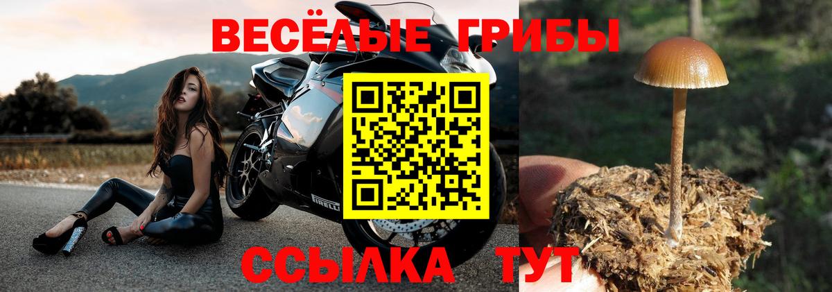 Галлюциногенные грибы прущие грибы  Маркс 