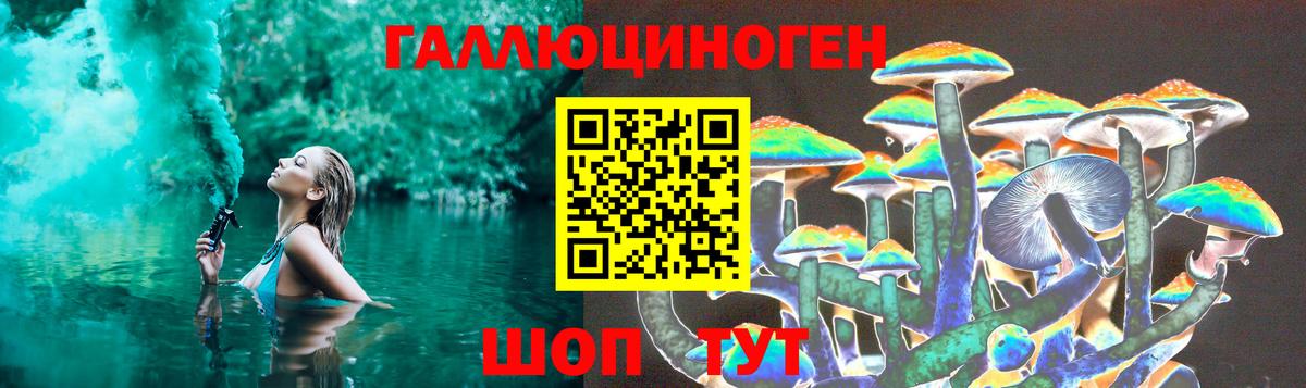 Галлюциногенные грибы Psilocybine cubensis Маркс