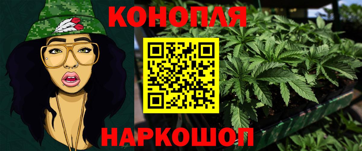 Каннабис сатива  Канабис сатива  Вход с VPN  Маркс  Марихуана ГИДРОПОН 